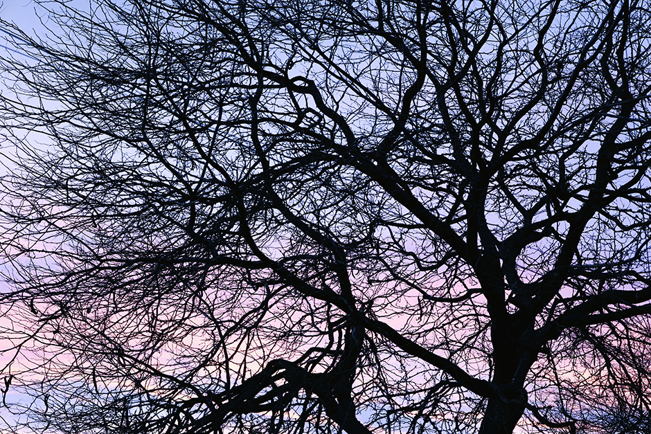 Sky.