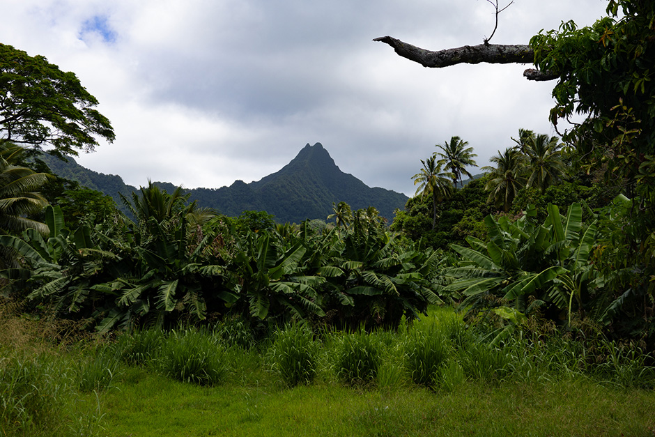 Mountain.